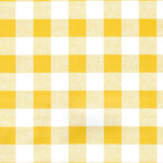 TOVAGLIATO-PLASTICA-PARTY