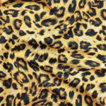 INTERLOCK STAMPATO COLONIA