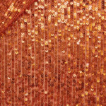 PAILLETTES ELAST. HOLLYWOOD