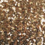 PAILLETTES ELAST. MARGOT