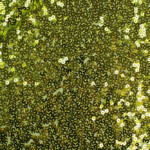 PAILLETTES ELAST. MARGOT