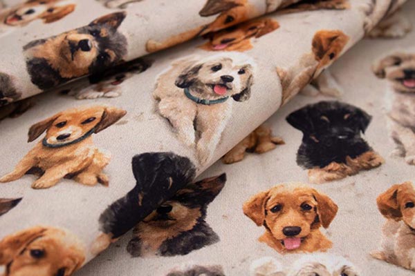 Cotone Digital Pets Cotone Digital Pets