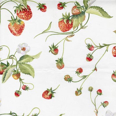 Tessuto Marmolada Resinato Tessuto Marmolada Resinato