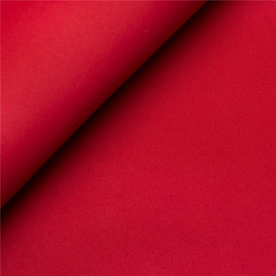 Foamy Unito
